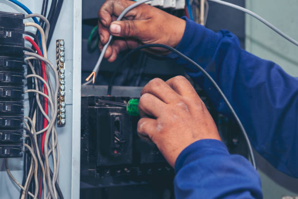 Best Local Electrician Companies  in Freedom, CA